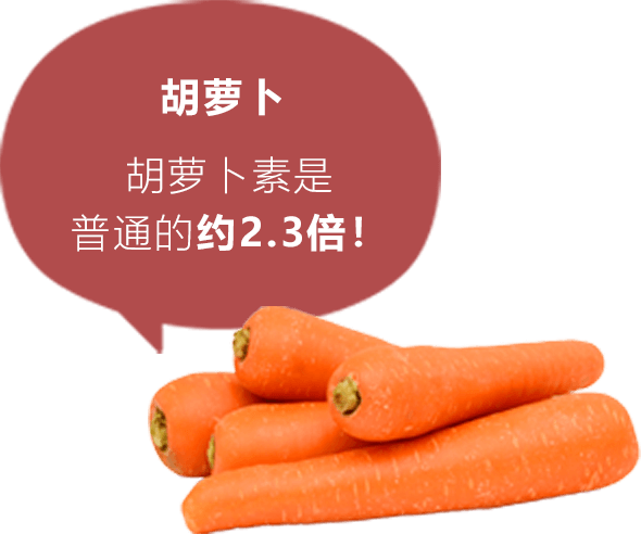 胡萝卜 胡萝卜素是普通的约2.3倍！